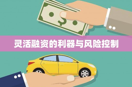 罗湖灵活融资的利器与风险控制