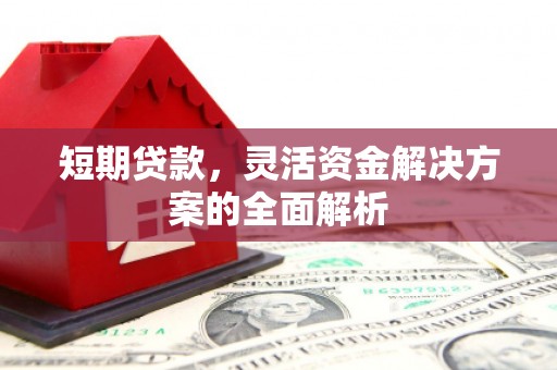 罗湖短期贷款，灵活资金解决方案的全面解析