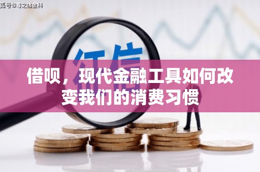 罗湖借呗，现代金融工具如何改变我们的消费习惯