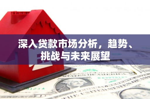 罗湖深入贷款市场分析，趋势、挑战与未来展望