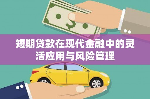 罗湖短期贷款在现代金融中的灵活应用与风险管理